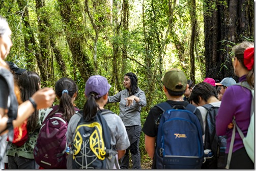 Traves&iacute;a Tantauco