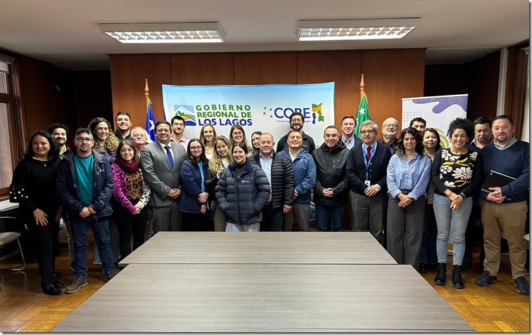 Mesa Los Lagos y Subdere 3