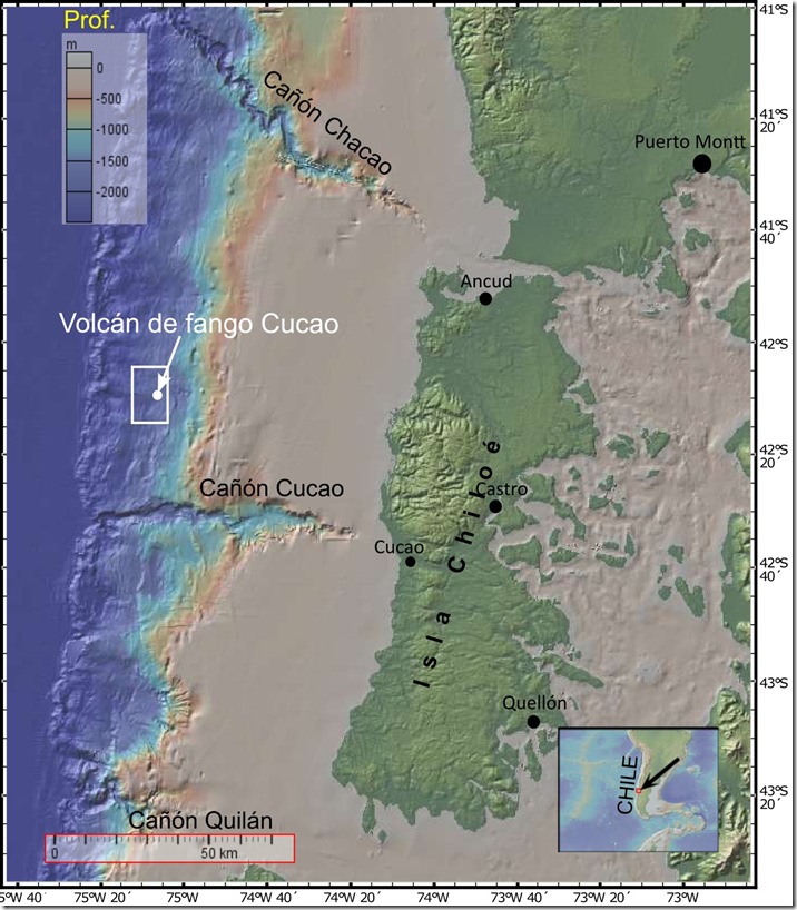 WhatsApp Image 2025-10-08 at 12.56.55 PM