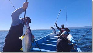 Dise&ntilde;o sin t&iacute;tulo - 1