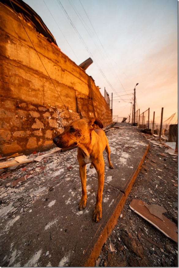 WhatsApp Image 2026-01-19 at 5.44.10 PM